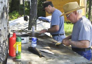 Fish Filleting