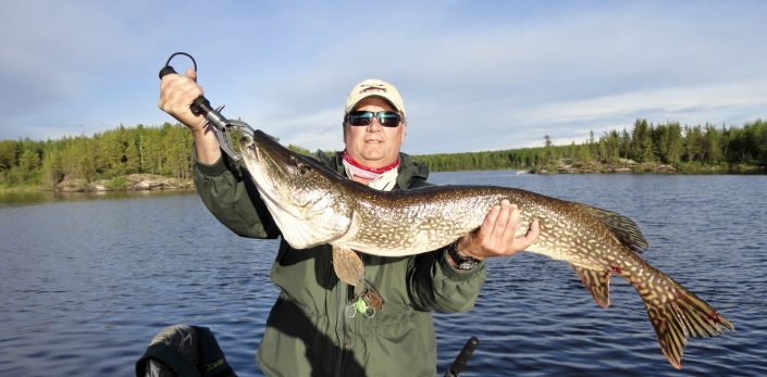 Apisko Lake 43" Northern